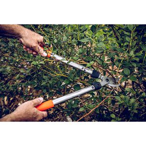 Produktbild für Astschere Original-LÖWE 31.050