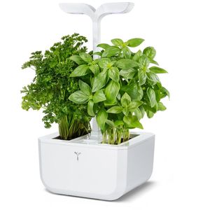 Anzuchtkasten Veritable Exky Classic, 20x18x45cm