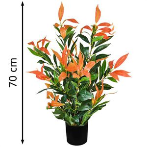 Produktbild für Kunstpflanze Decovego Glanzmispel Photinia