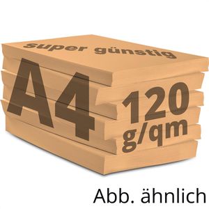 Produktbild für Kopierpapier Papyrus Rainbow 88042502