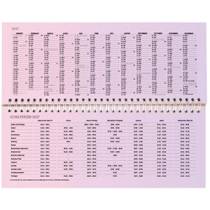 Produktbild für Tischkalender Folia 065, Regenbogen, Wochenkalender quer