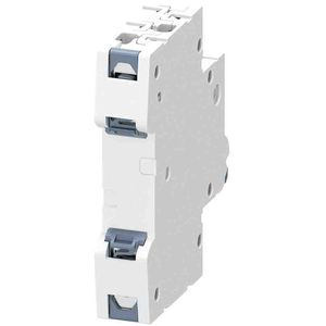 Produktbild für Leitungsschutzschalter Siemens 5SL61166, Typ B