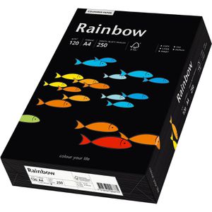 Produktbild für Kopierpapier Papyrus Rainbow 88042832