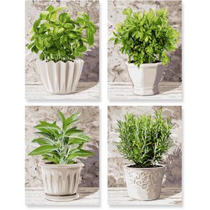 Produktbild für Malen-nach-Zahlen Schipper Quattro, ab 14 Jahre