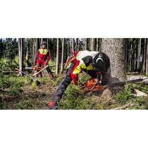 Produktbild für Forsthelm Protos Integral Forest F39, schwarz