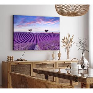 Produktbild für Wandbild Sinus-Art Lavendelfeld