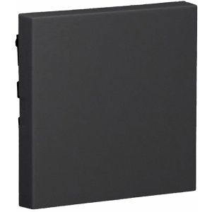 Produktbild für Schalter-Wippe Gira System 55, 3296005