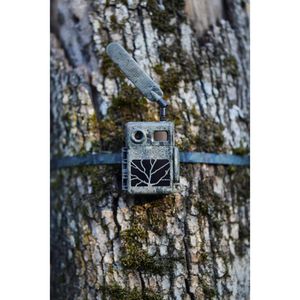 Produktbild für Wildkamera ZEISS Secacam 7 60° LTE 4G GSM