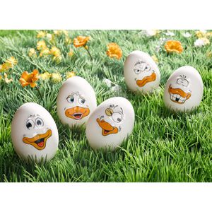 Produktbild für Sticker Heitmann-Eierfarben Lustige Enten