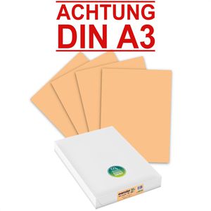 Produktbild für Kopierpapier Clairefontaine Evercolor 30015C, A3