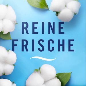 Produktbild für Raumduft Febreze Mülleimer-Erfrischer, Starterset