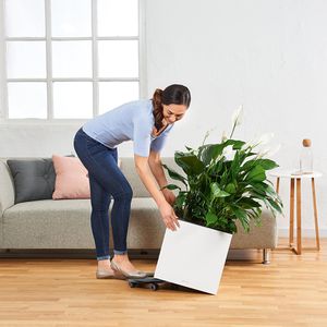 Produktbild für Übertopf Lechuza CANTO Premium 40 low, anthrazit, 40x40x40 cm