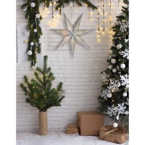 Produktbild für Weihnachtsstern BRUBAKER 77803, silber