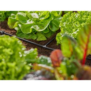 Produktbild für Micro-Drip-System Gardena Rohrverbinder T-Stück, 13211-20