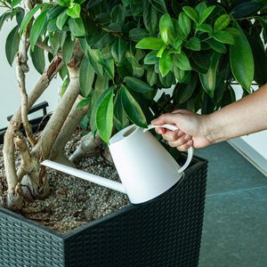 Produktbild für Gießkanne Mesto Lucky Snow, weiß