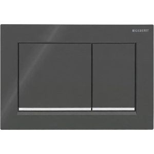 Produktbild für Betätigungsplatte Geberit Omega20, aus Kunststoff, für WC