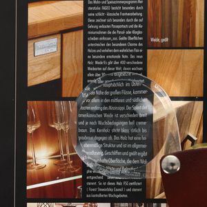 Produktbild für Lupe Eschenbach 1740460