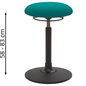 Produktbild für Fitness-Hocker Mayer myMOBILIS, 1166 30320