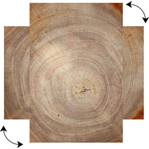 Produktbild für Magnettafel ALLboards MetalBoards, Baumstamm