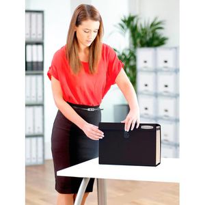 Produktbild für Fächermappe Bankers-Box Handifile, A4