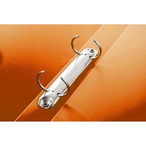 Produktbild für Ringbuch Pagna 20900-09, A4