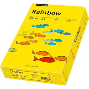 Produktbild für Kopierpapier Papyrus Rainbow 88042395