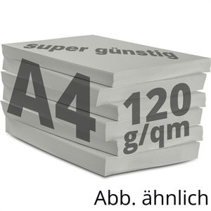 Produktbild für Kopierpapier Papyrus Rainbow 88042810