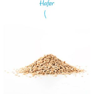 Produktbild für Haferflocken Kölln Instant Flocken