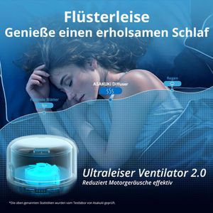Produktbild für Diffuser Asakuki Rock
