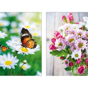 Produktbild für Grußkarten Böttcher-AG 99sk6695, Blumen sortiert