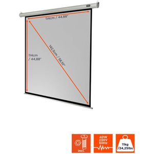 Produktbild für Beamer-Leinwand Celexon Motor Economy