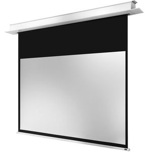 Produktbild für Beamer-Leinwand Celexon Motor Professional Plus
