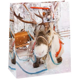 Produktbild für Geschenktüte TSI 87311 Weihnachten Serie 11