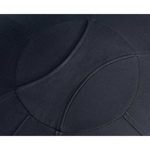 Produktbild für Sitzball Leitz Ergo Active, Anti-Wegroll-Funktion, bis 120 kg