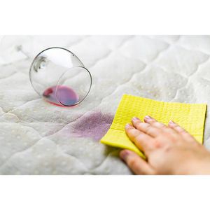 Produktbild für Polsterreiniger BiOHY 100% vegan, nachhaltig, Bio