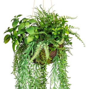 Produktbild für Kunstpflanze Creativ-green Dekokugel