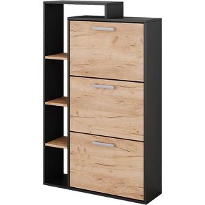 Produktbild für Schuhschrank Vicco Orlando, anthrazit / eiche