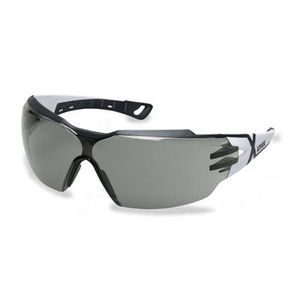 Schutzbrille Uvex pheos cx2, schwarz-grau, Bügelbrille