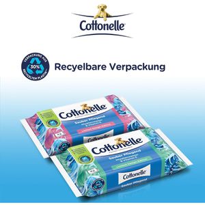 Produktbild für Feuchtes-Toilettenpapier Cottonelle Sauber Pflegend