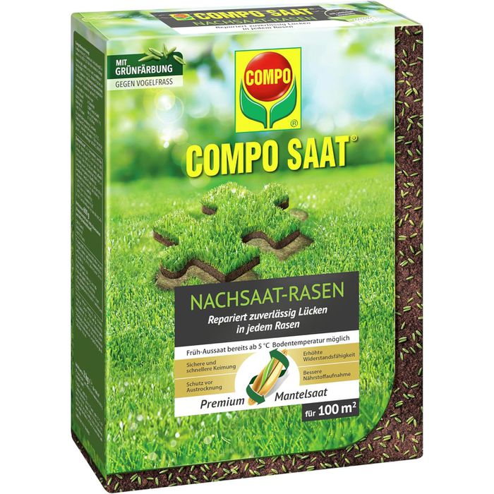wasabi saatgut Shop Wasabi Gemüsesamen