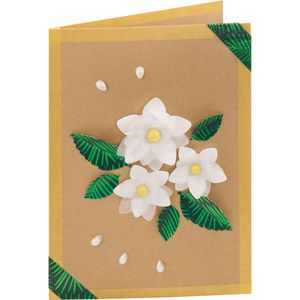 Produktbild für Faltkarten Folia 150598, 220g/m², natronbraun