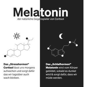 Produktbild für Melatonin natural-elements 365 Tabletten für 365 Nächte