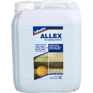 Grünbelagentferner Lithofin 032, ALLEX, biologisch abbaubar