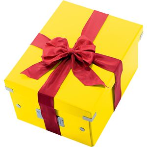 Produktbild für Aufbewahrungsbox Leitz 6044-00-16 Click&amp;Store, 21L