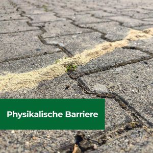 Produktbild für Ameisenpulver Protect-Home Ameisen&amp;Milben Blocker