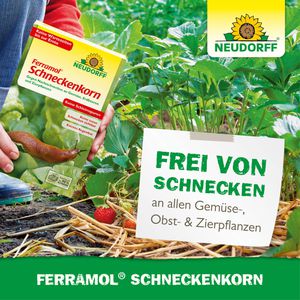 Produktbild für Schneckenkorn Neudorff Ferramol, extrem regenfest