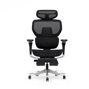 Bürostuhl FlexiSpot C7 Morpher Pro, C7B-MO-PRO