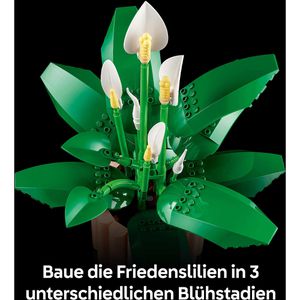Produktbild für Klemmbausteine LEGO Botanicals 11504, ab 18 Jahre