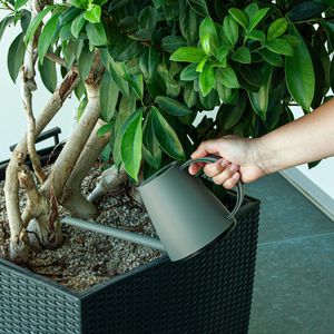 Produktbild für Gießkanne Mesto Lucky Stone, grau