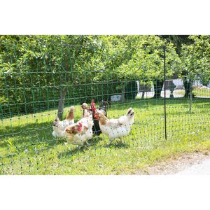 Produktbild für Weidezaunnetz Kerbl PoultryNet 292414, Geflügelnetz